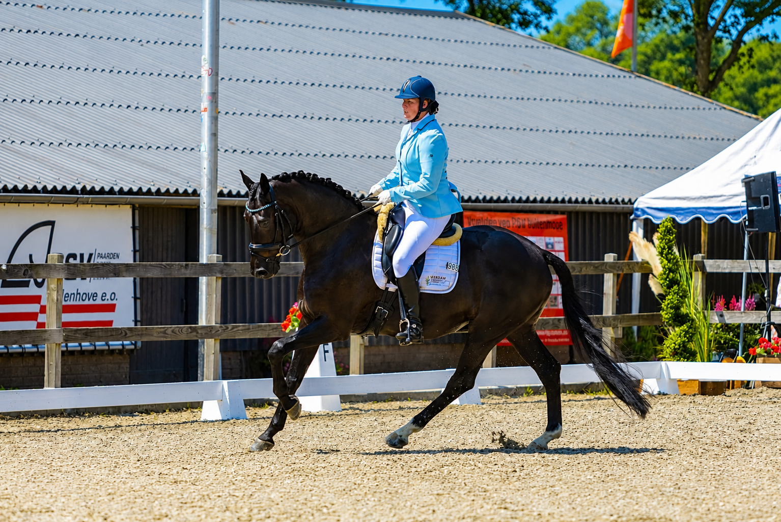 Africhting, training en uitbrengen van uw paard